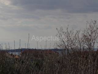 Land, Sale, Vodnjan, 2002m²