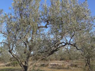 Land, Sale, Vodnjan, 2002m²