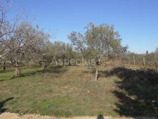 Land, Sale, Vodnjan, 2002m²