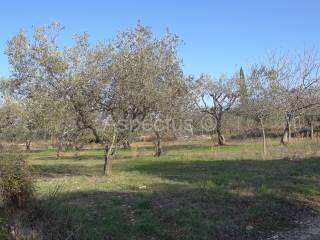 Land, Sale, Vodnjan, 2002m²