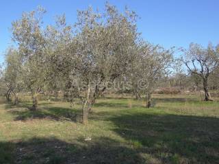 Land, Sale, Vodnjan, 2002m²