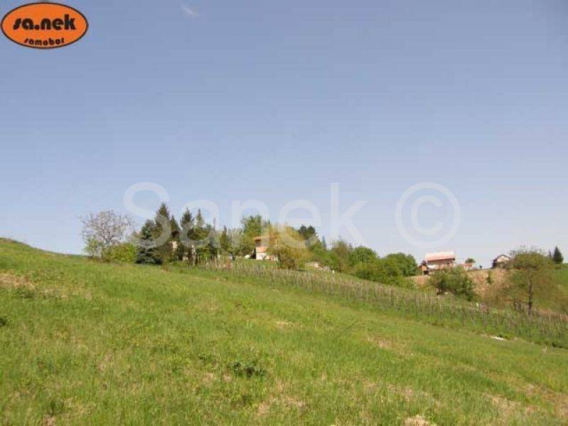 Zemljište/5755m2/Konšćica