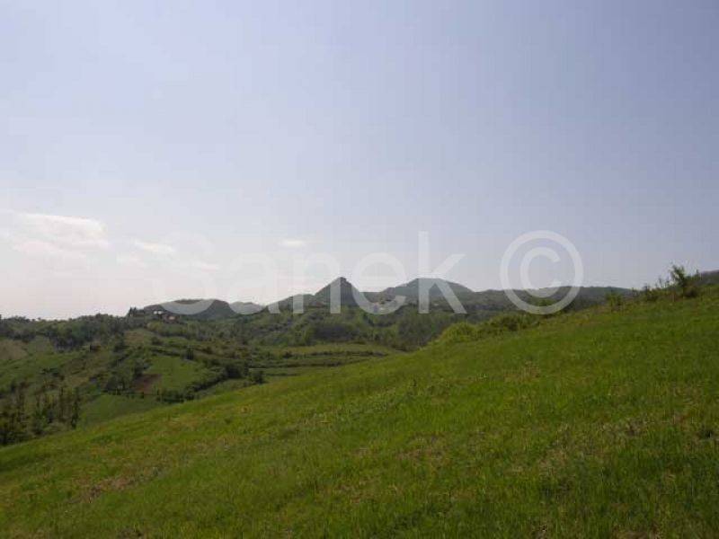 Zemljište/5755m2/Konšćica