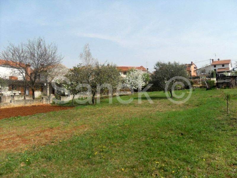 Land, Sale, Buje, 2975m²
