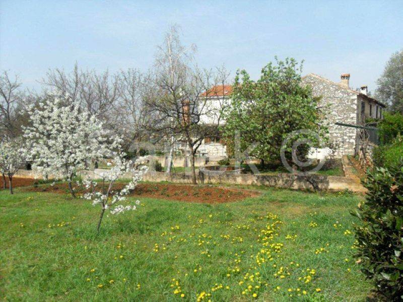 Land, Sale, Buje, 2975m²