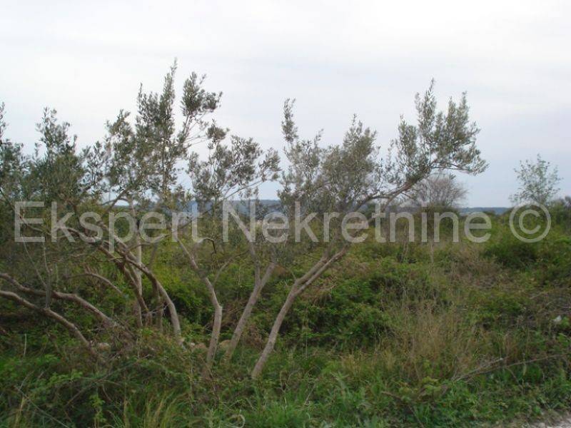 Agricultural land, Sale, Kaštela, Kaštel Novi