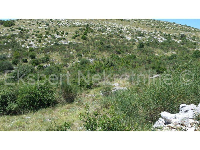 Agricultural land, Sale, Trogir, Trogir