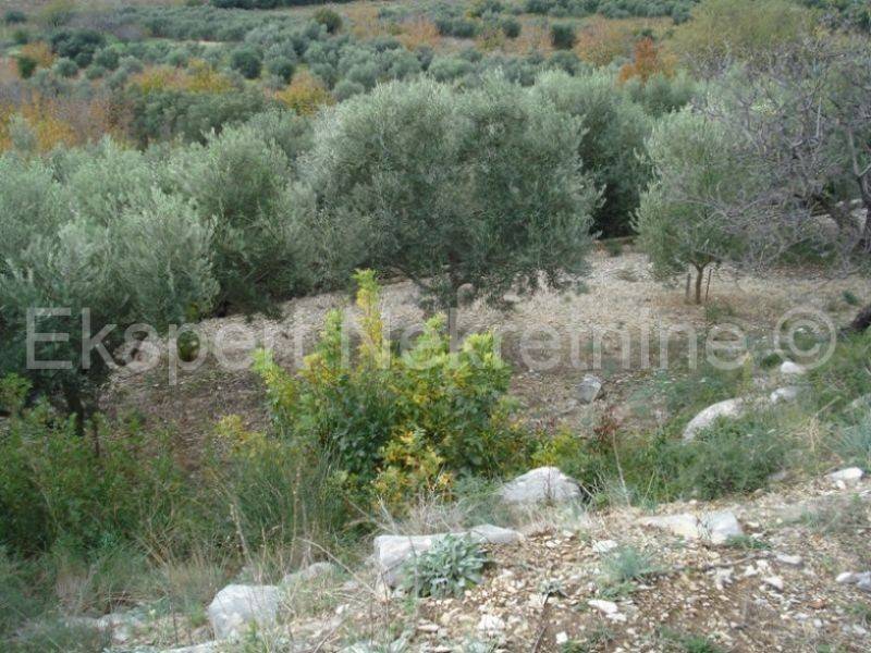 Land, Sale, Supetar