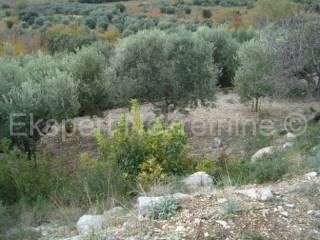 Land, Sale, Supetar
