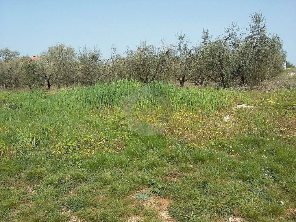 Land, Sale, Poreč