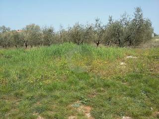 Land, Sale, Poreč
