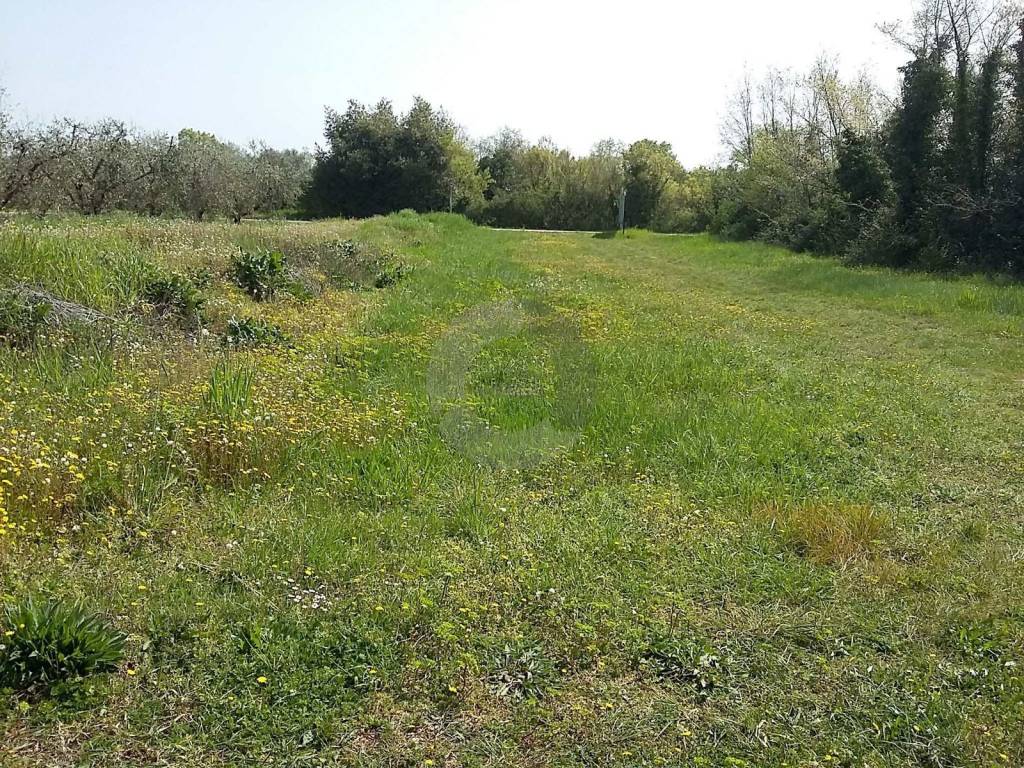 Land, Sale, Poreč
