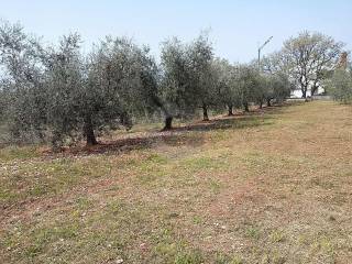 Land, Sale, Poreč