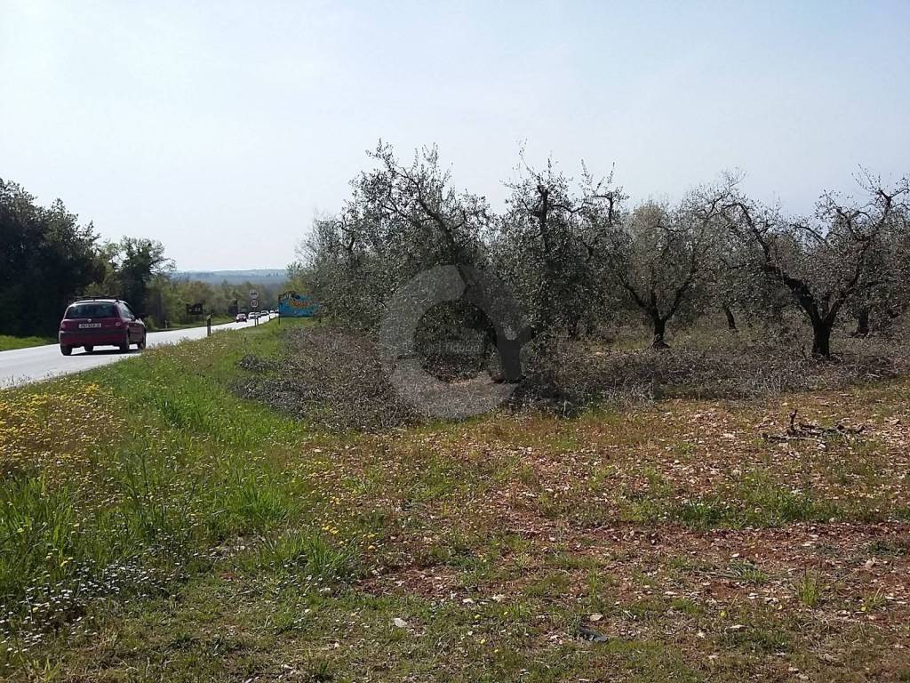 Land, Sale, Poreč