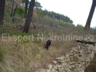 Building plot, Sale, Omiš, Naklice