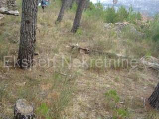 Building plot, Sale, Omiš, Naklice