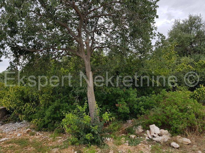 Building plot, Sale, Okrug, Okrug Donji