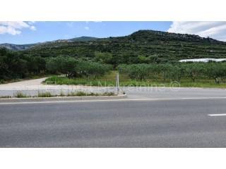 Agricultural plot, Sale, Kaštela, Kaštel Štafilić