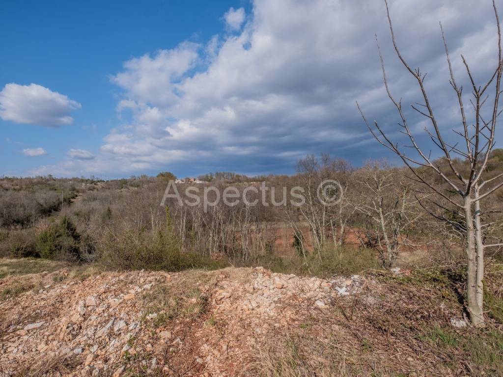 Plot for construction, Sale, Svetvinčenat, Svetvinčenat