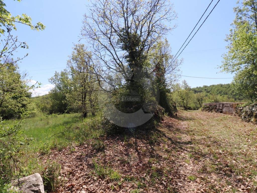Plot for construction, Sale, Grožnjan, Martinčići