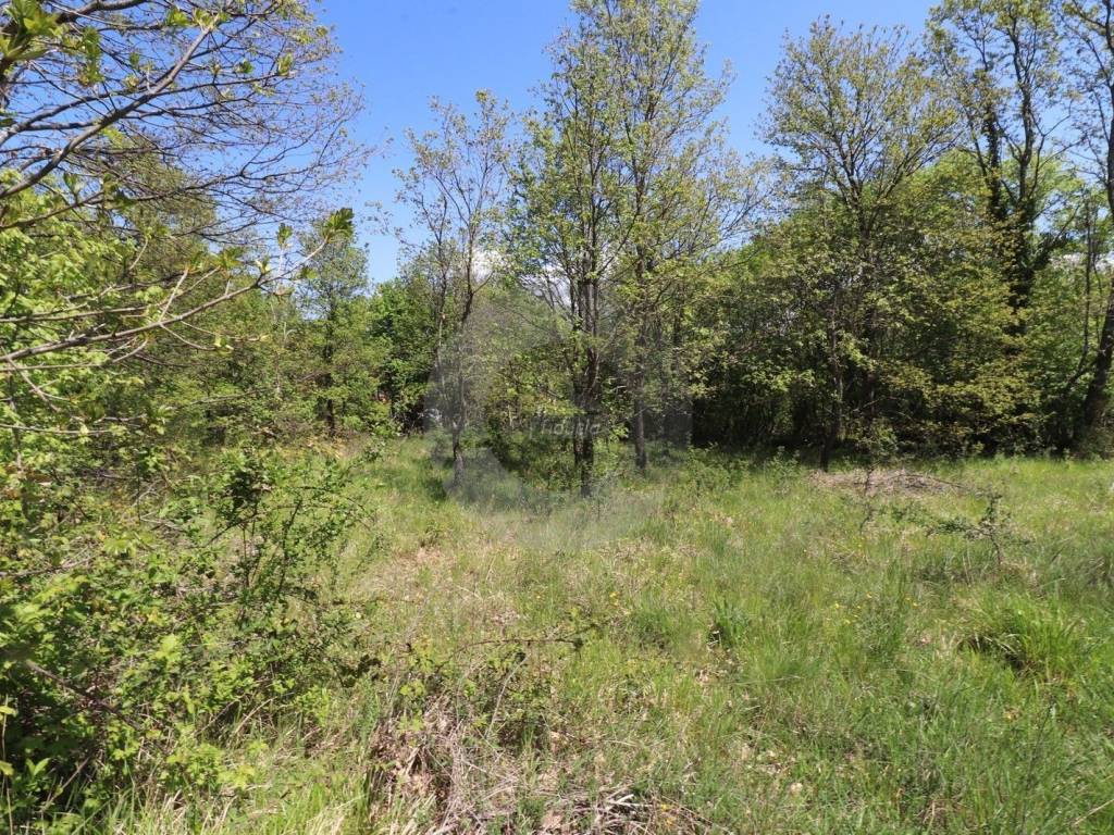 Plot for construction, Sale, Grožnjan, Martinčići