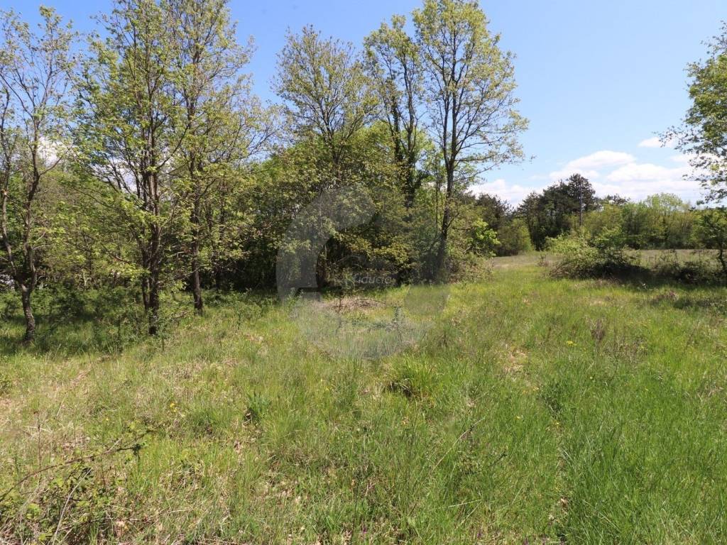 Plot for construction, Sale, Grožnjan, Martinčići