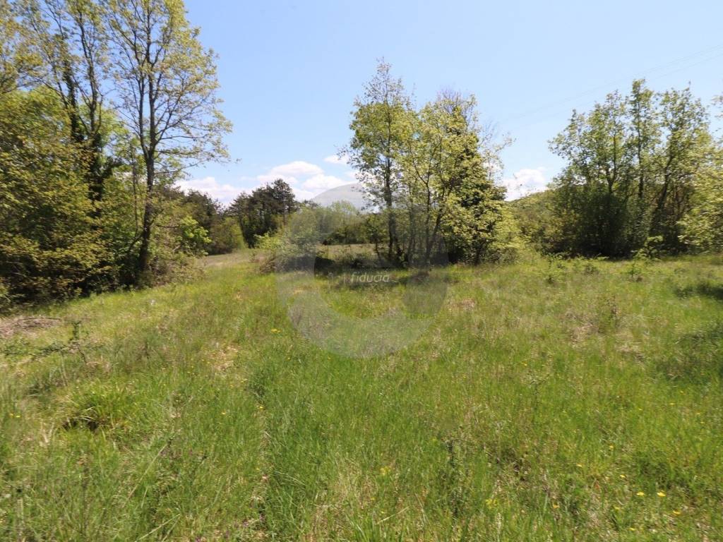 Plot for construction, Sale, Grožnjan, Martinčići