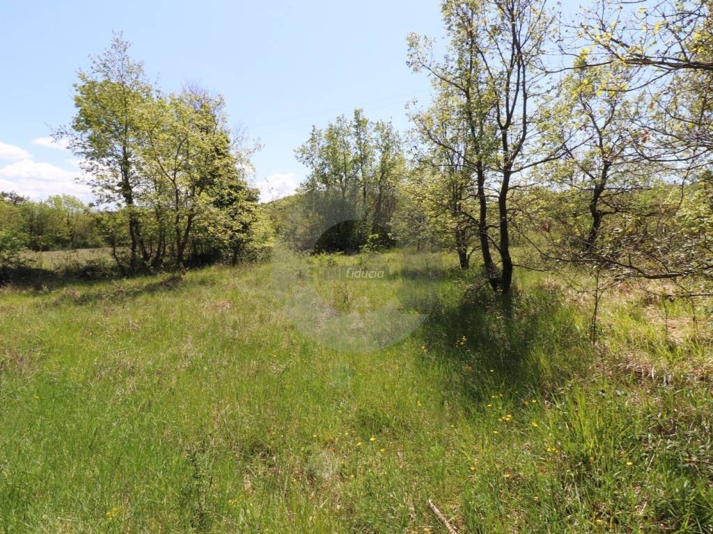 Plot for construction, Sale, Grožnjan, Martinčići