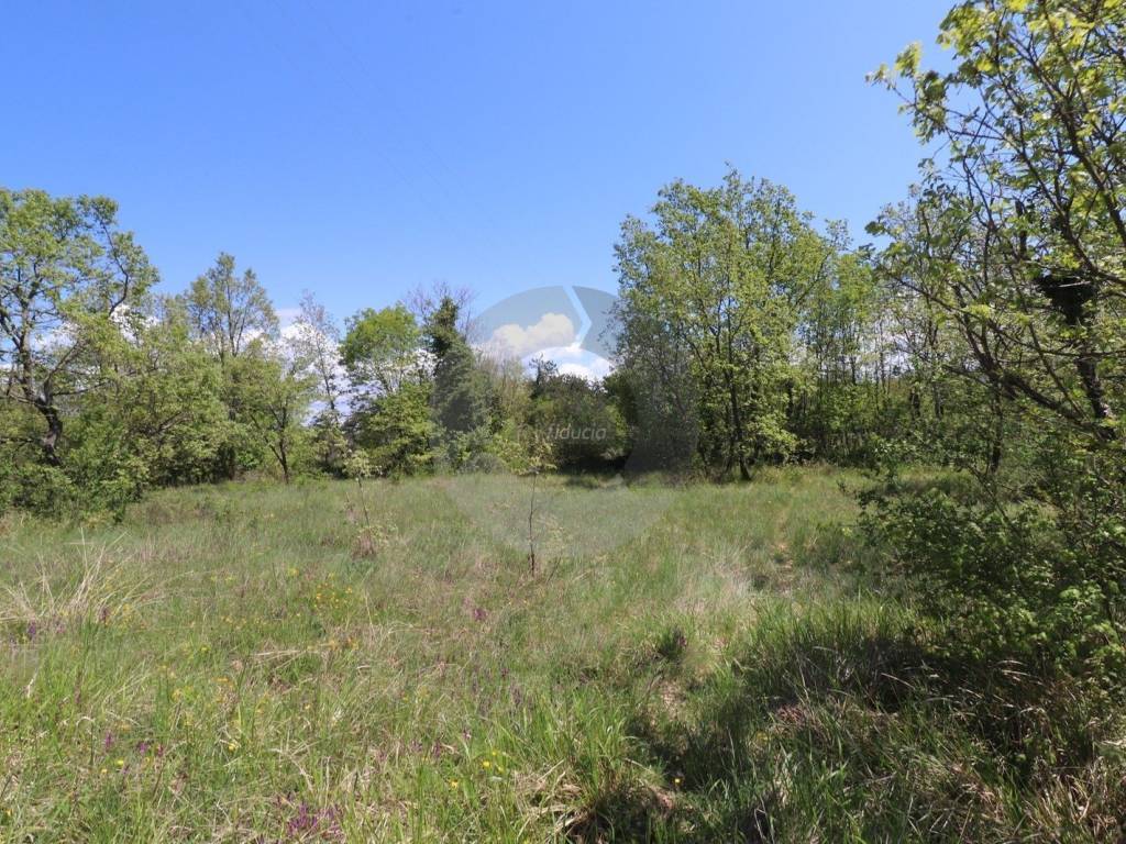 Plot for construction, Sale, Grožnjan, Martinčići