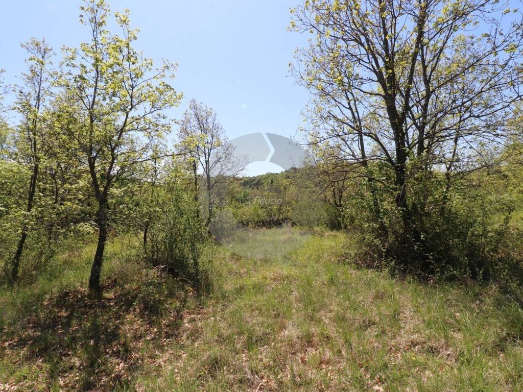 Plot for construction, Sale, Grožnjan, Martinčići