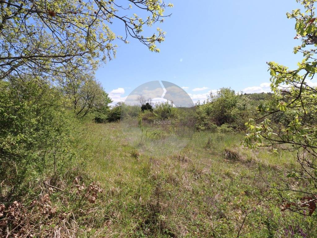 Plot for construction, Sale, Grožnjan, Martinčići