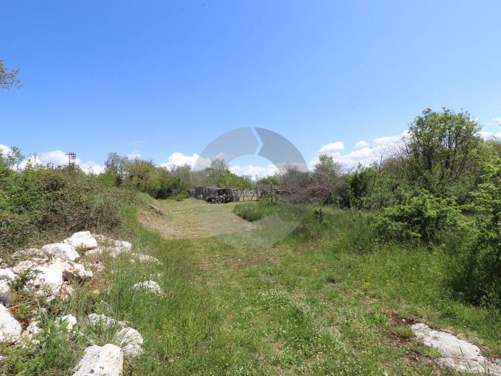 Plot for construction, Sale, Grožnjan, Martinčići