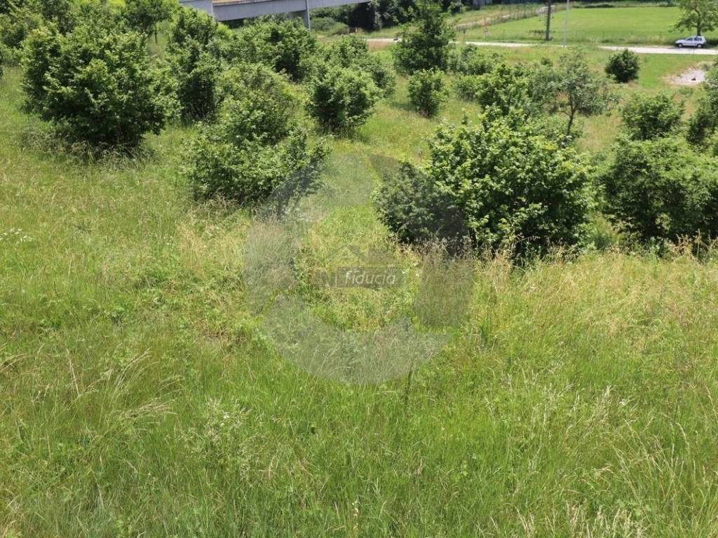 Construction plot M1, Sale, Oprtalj, Livade