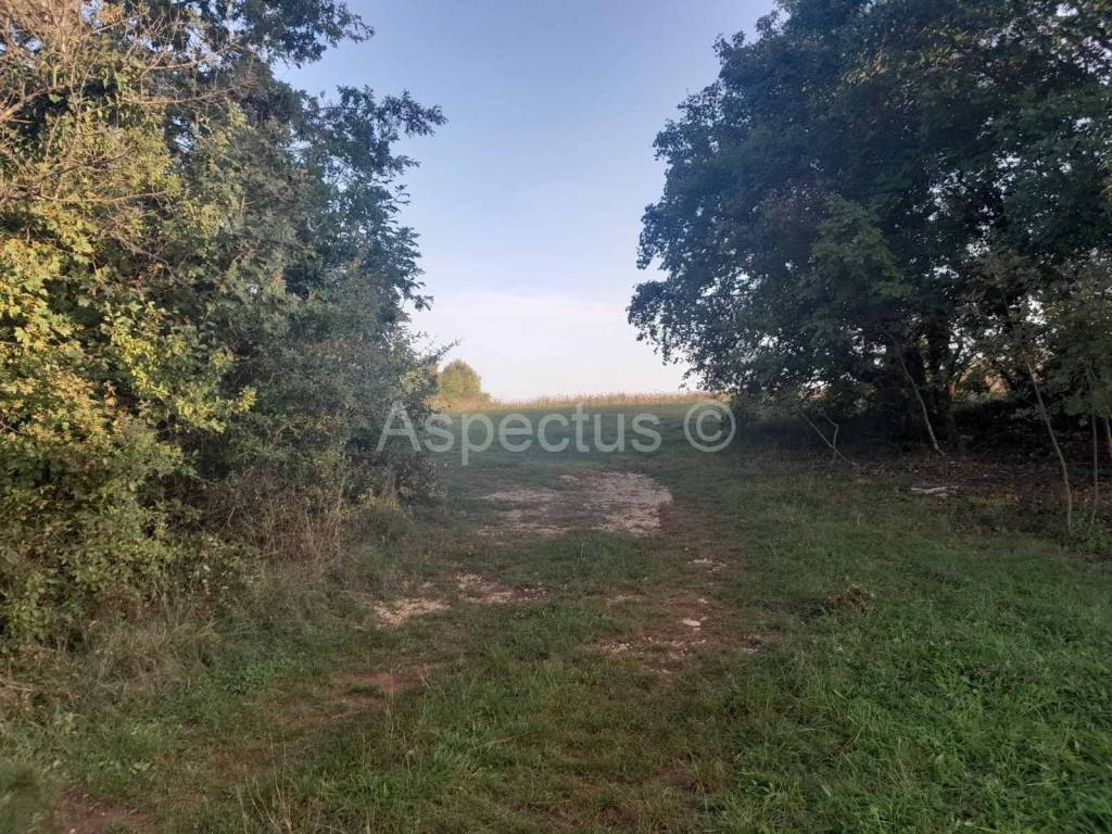 Agricultural plot, Sale, Svetvinčenat, Svetvinčenat