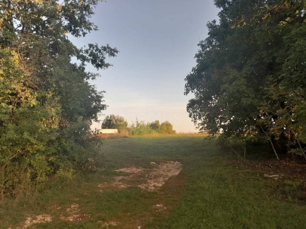 Agricultural plot, Sale, Svetvinčenat, Svetvinčenat