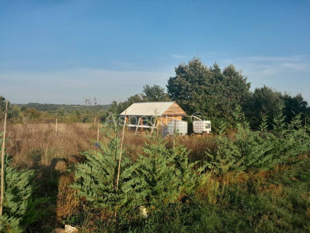 Agricultural plot, Sale, Svetvinčenat, Svetvinčenat