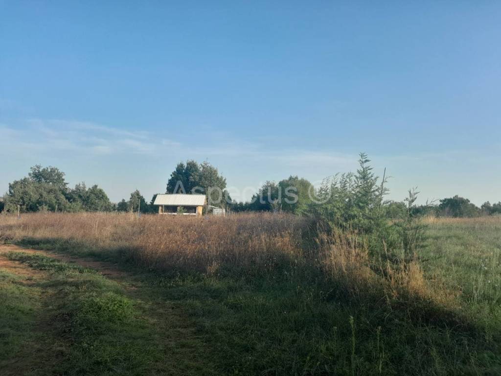 Agricultural plot, Sale, Svetvinčenat, Svetvinčenat