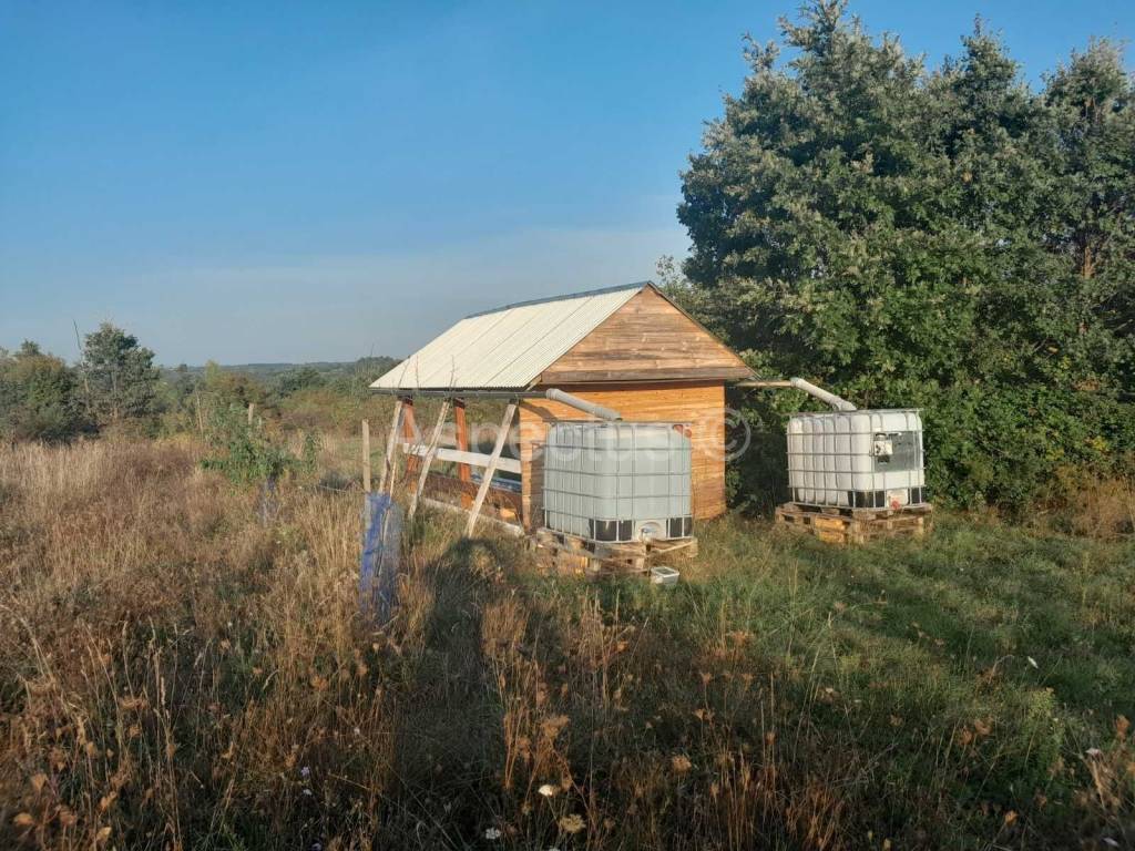Agricultural plot, Sale, Svetvinčenat, Svetvinčenat