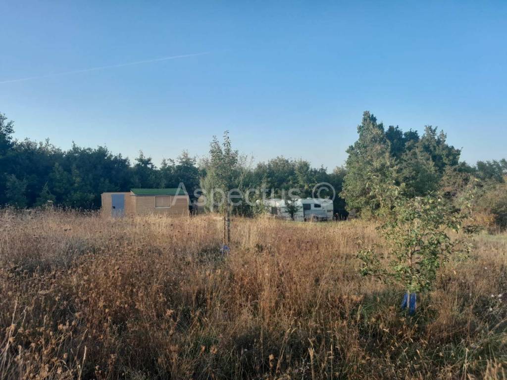 Agricultural plot, Sale, Svetvinčenat, Svetvinčenat