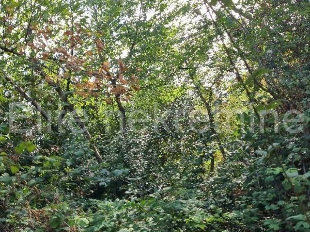 Plot for construction, Sale, Opatija - Okolica, Oprić