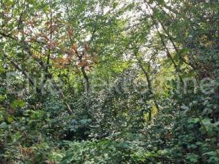 Plot for construction, Sale, Opatija - Okolica, Oprić