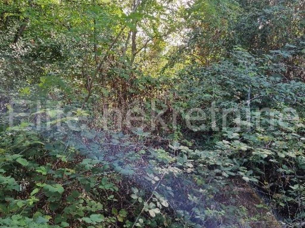 Plot for construction, Sale, Opatija - Okolica, Oprić