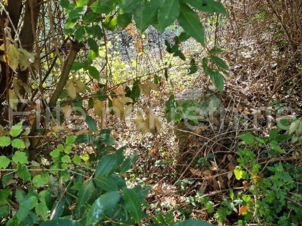 Plot for construction, Sale, Opatija - Okolica, Oprić