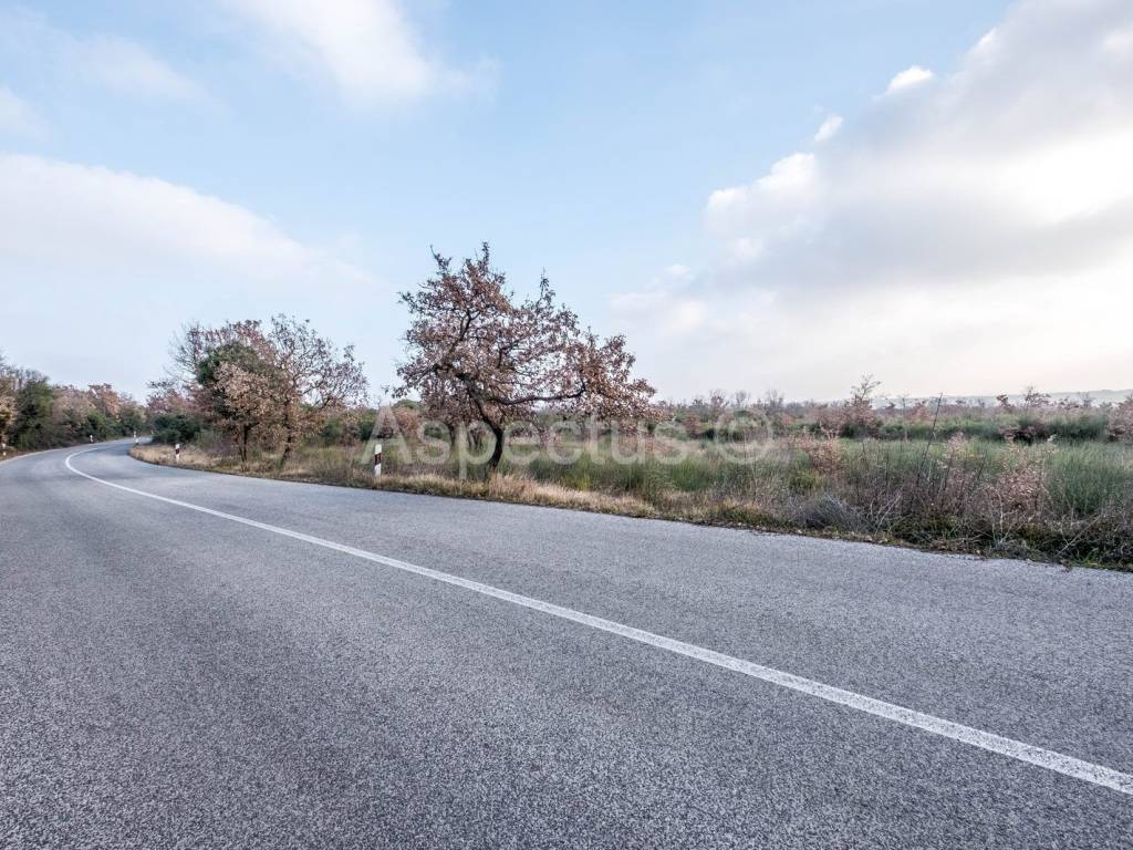Agricultural plot, Sale, Pula, Pula