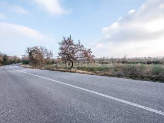 Agricultural plot, Sale, Pula, Pula