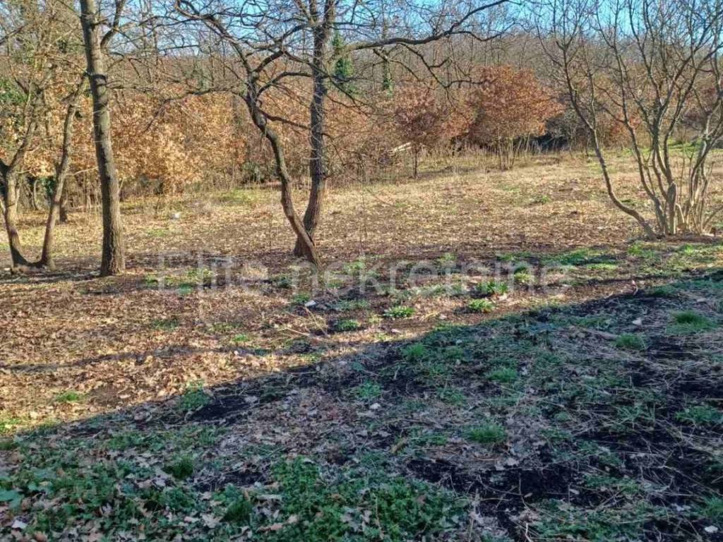 Agricultural plot, Sale, Marčana, Šarići