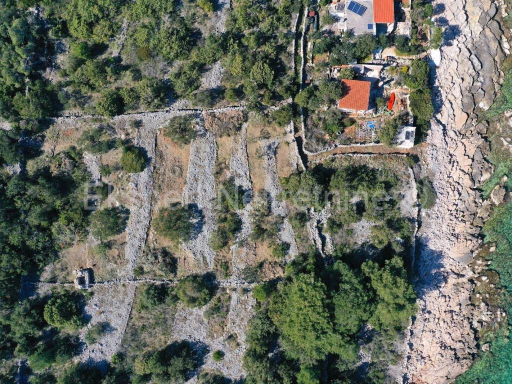 Agricultural plot, Sale, Trogir - Okolica, Drvenik Veliki