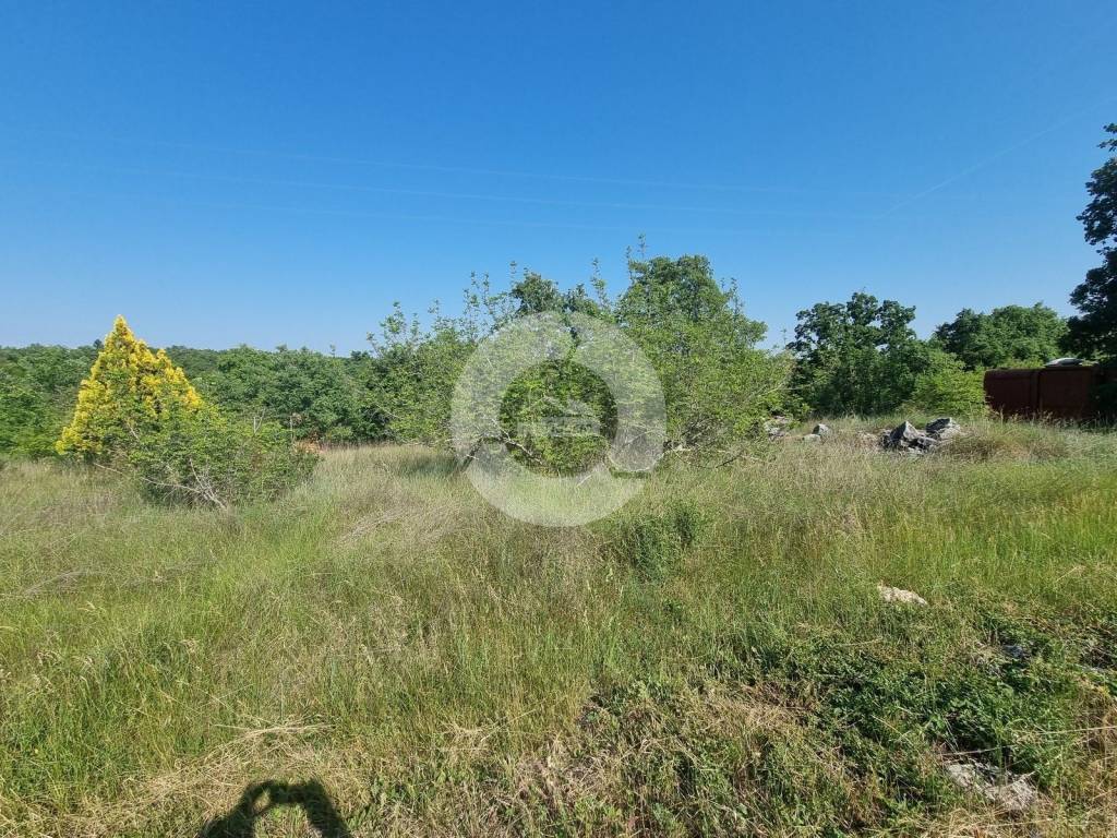 Plot for construction, Sale, Tar-Vabriga, Tar