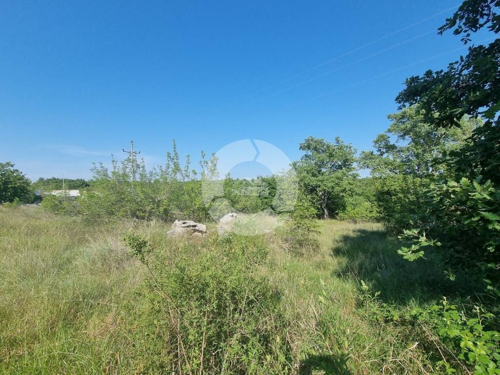 Plot for construction, Sale, Tar-Vabriga, Tar