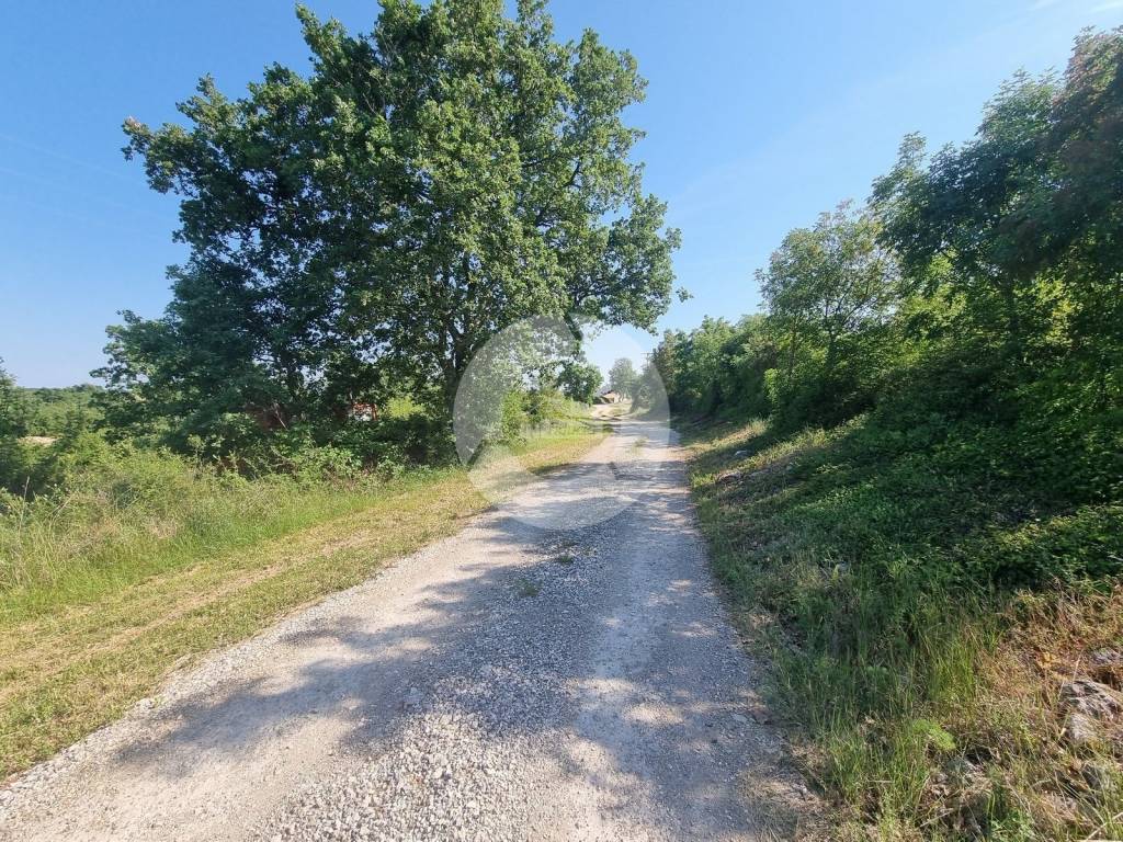 Plot for construction, Sale, Tar-Vabriga, Tar